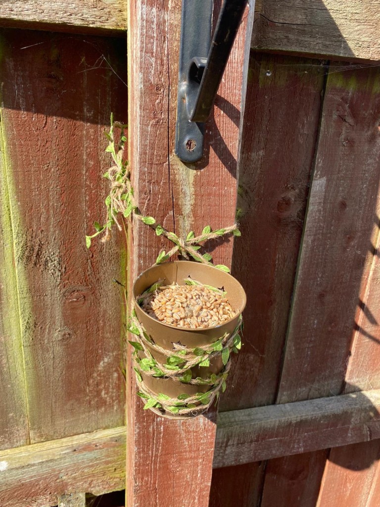 Bird feeder